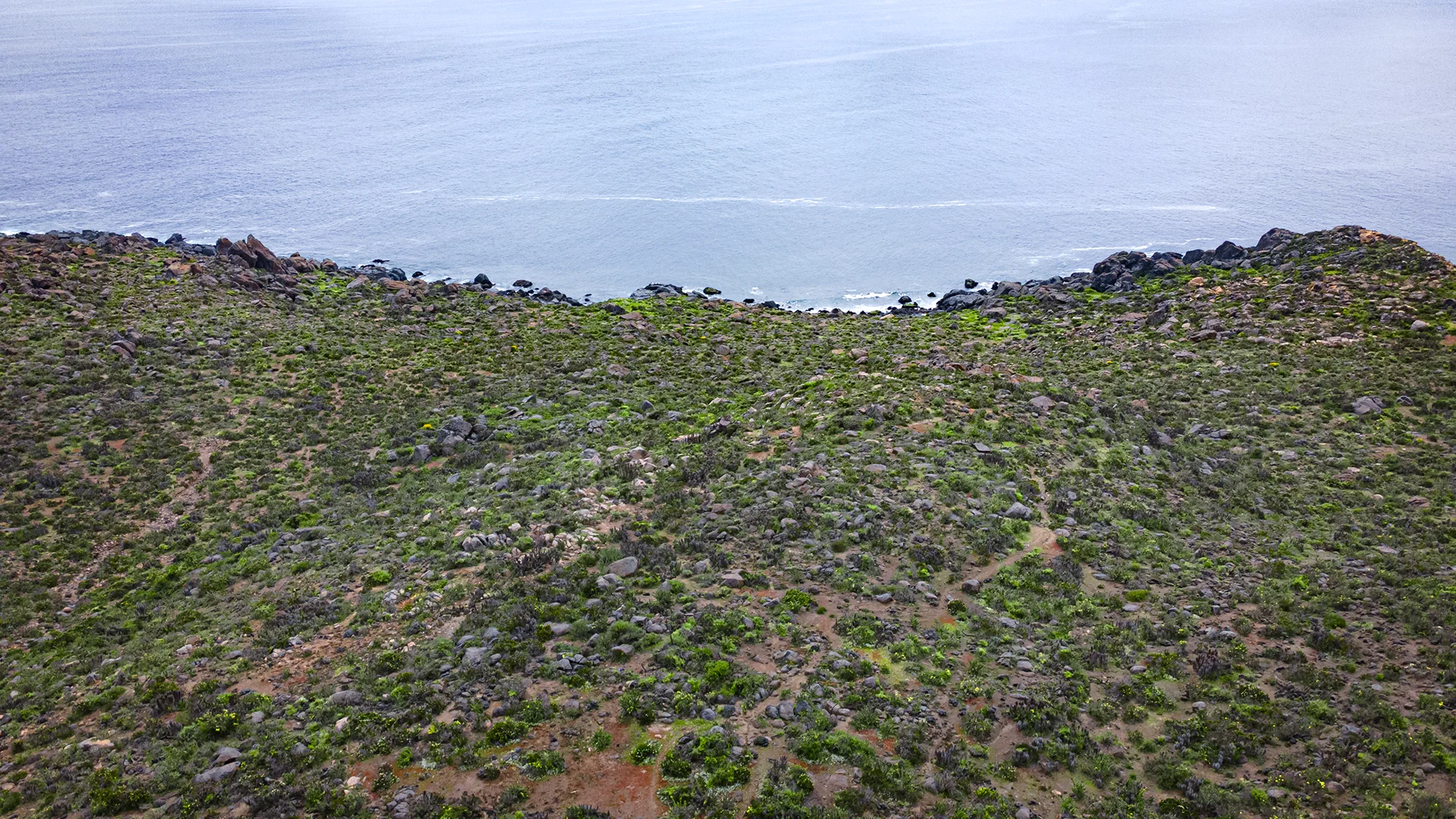 Vista aérea directa hacia el mar desde la Parcelación Praderas del Arrayán, Coquimbo