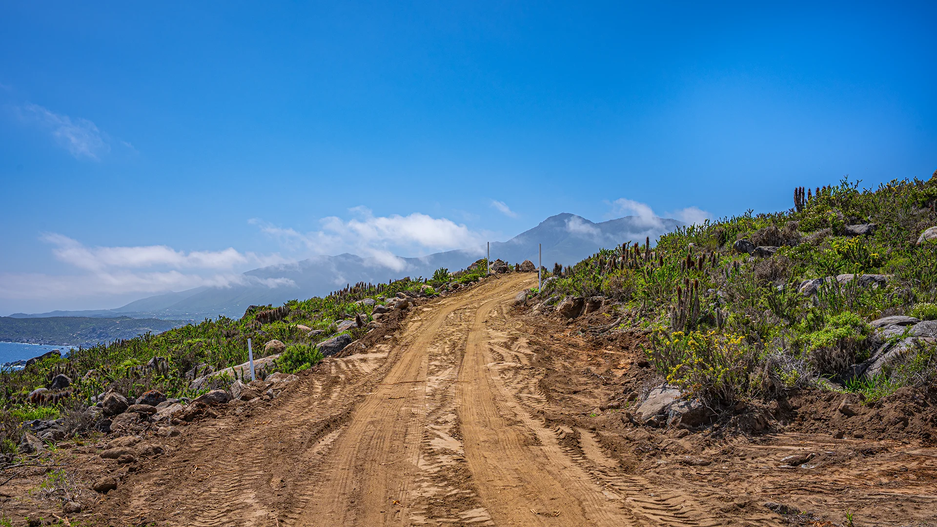 Camino dentro de la Parcelación Praderas del Arrayán, mostrando la organización, separación de los terrenos y fácil acceso.