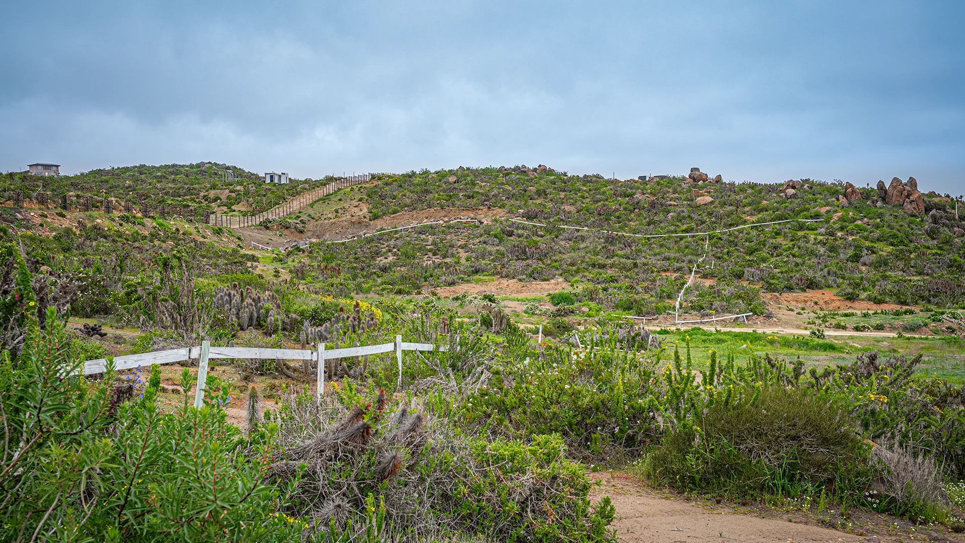 Cierres visibles que separan las parcelas dentro de la Parcelación Praderas del Arrayán, Coquimbo